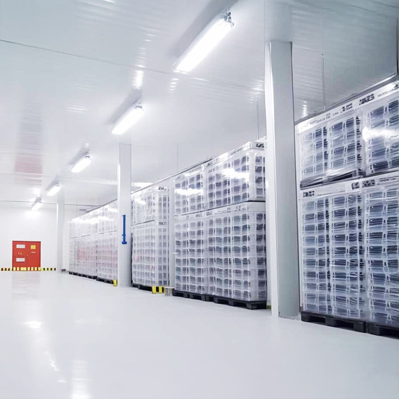 Cold Storage Services by Lex Logistics